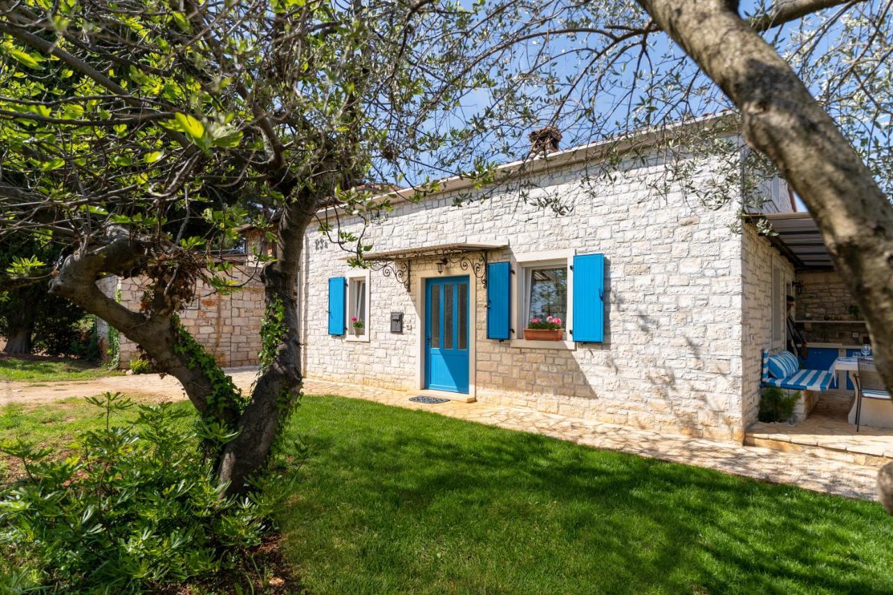 Villa Daulos Novigrad  Luaran gambar
