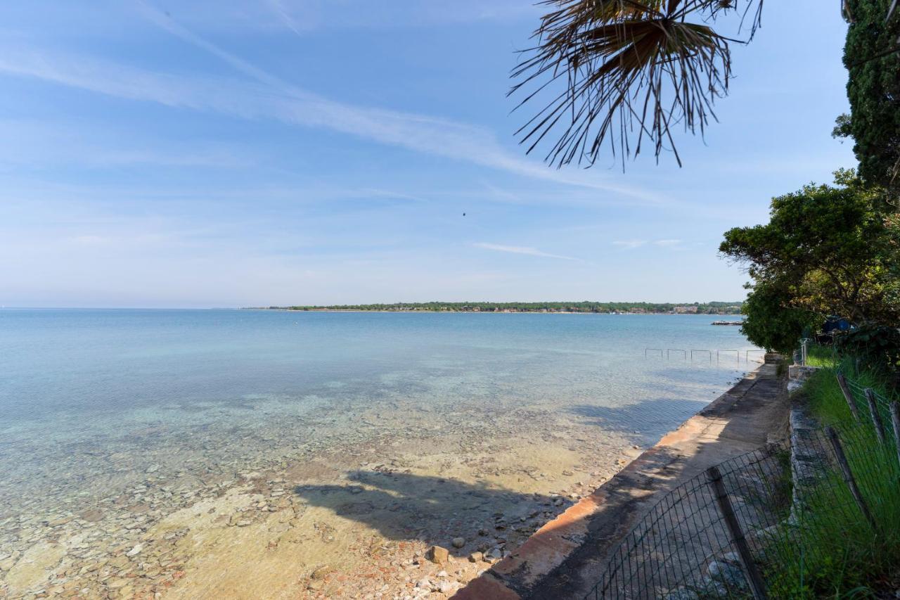 Villa Daulos Novigrad  Luaran gambar
